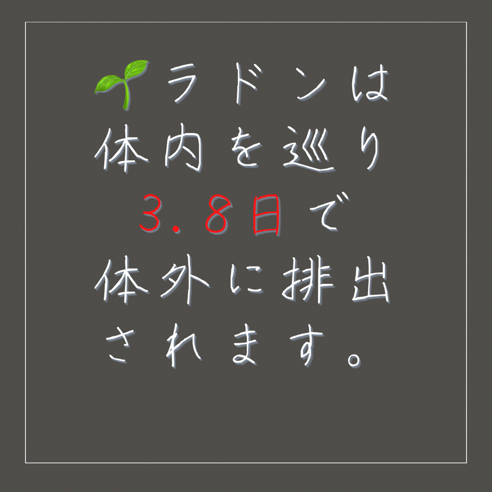 画像1355