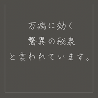 画像1356