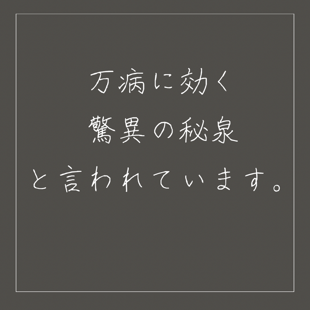 画像1356