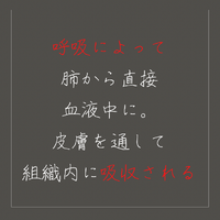 画像1358