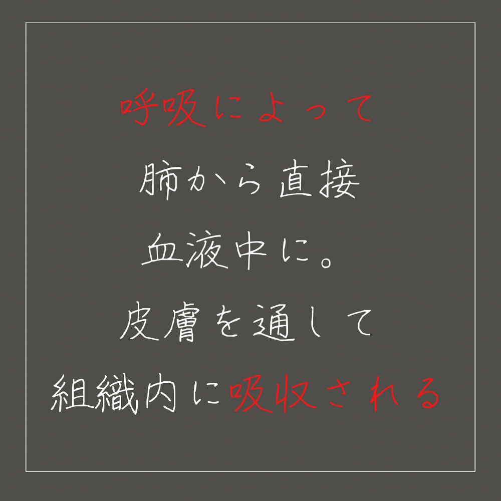 画像1358
