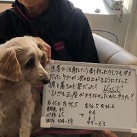 画像1372