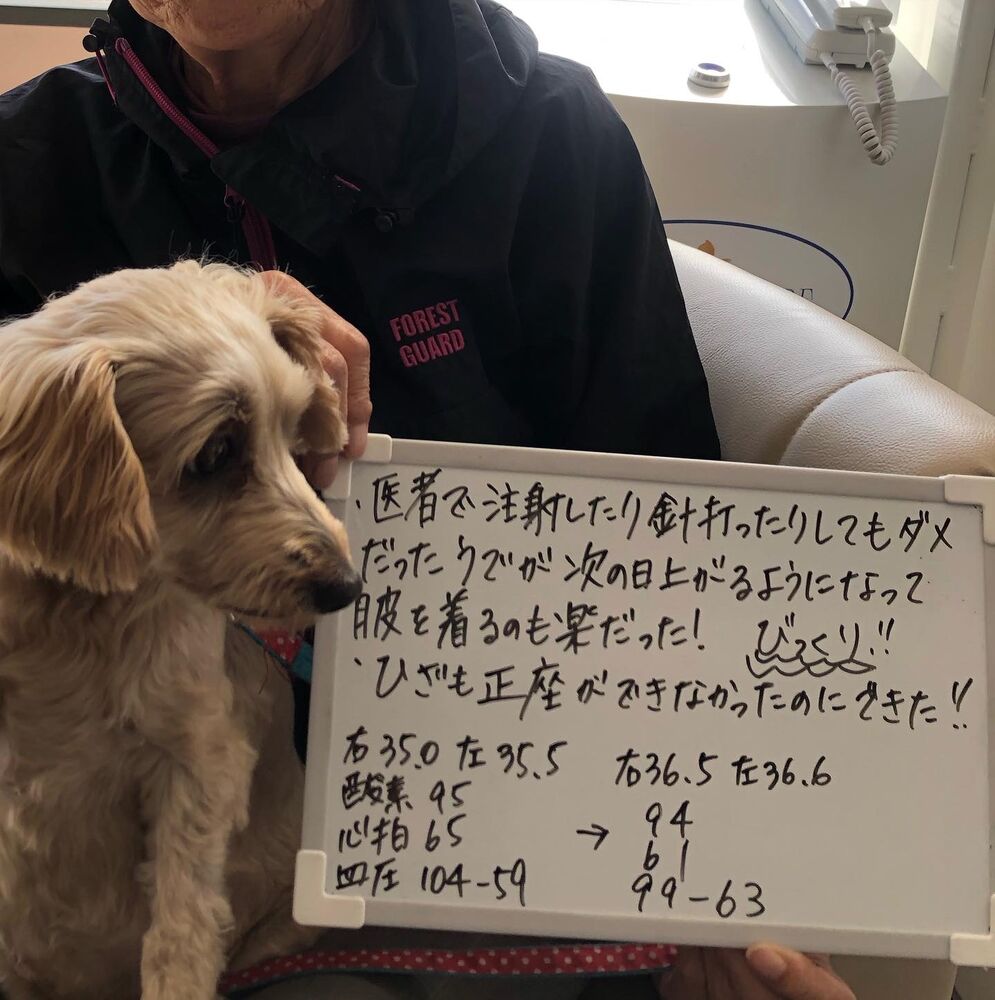 画像1372