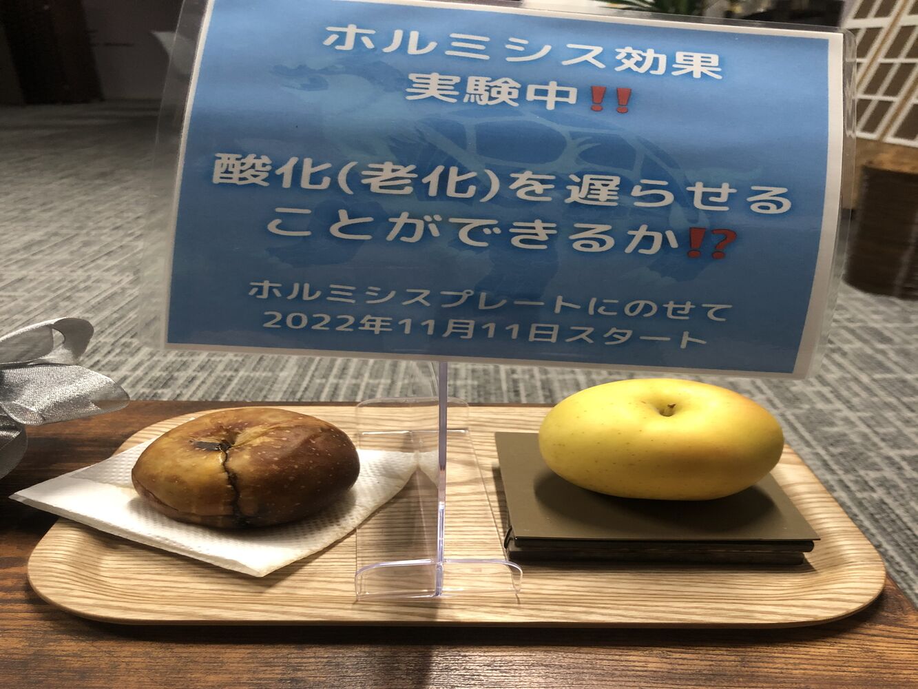 画像1381