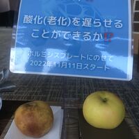 画像1382