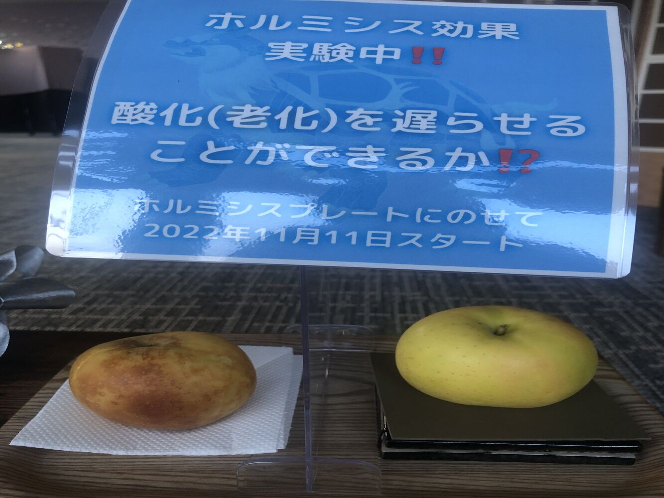 画像1382