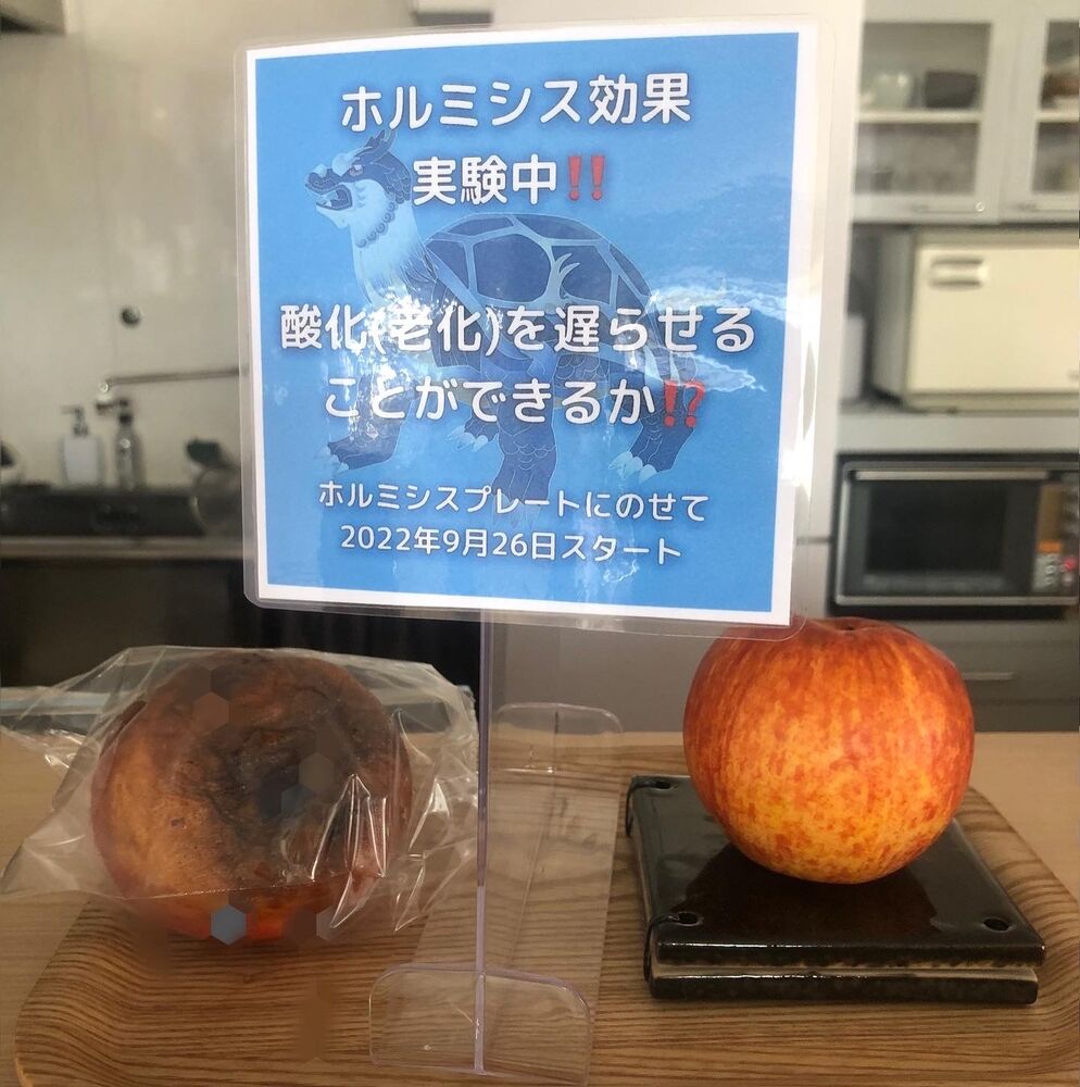 画像1384