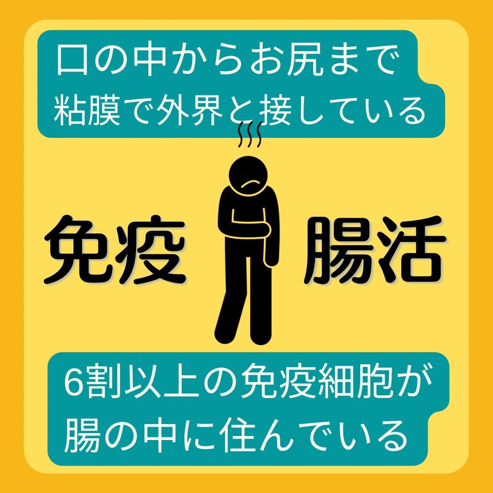画像1422