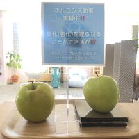 画像1426