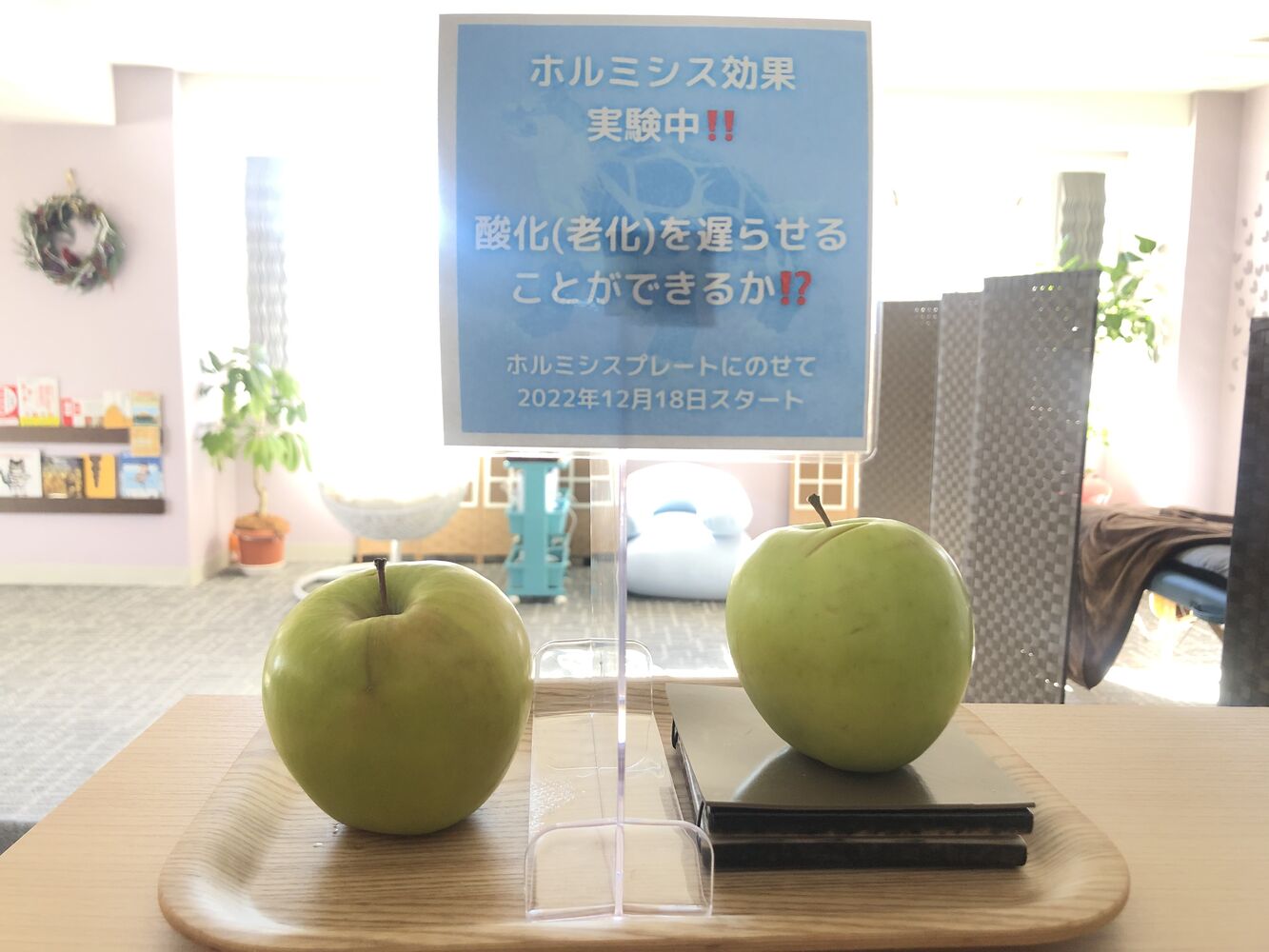 画像1426