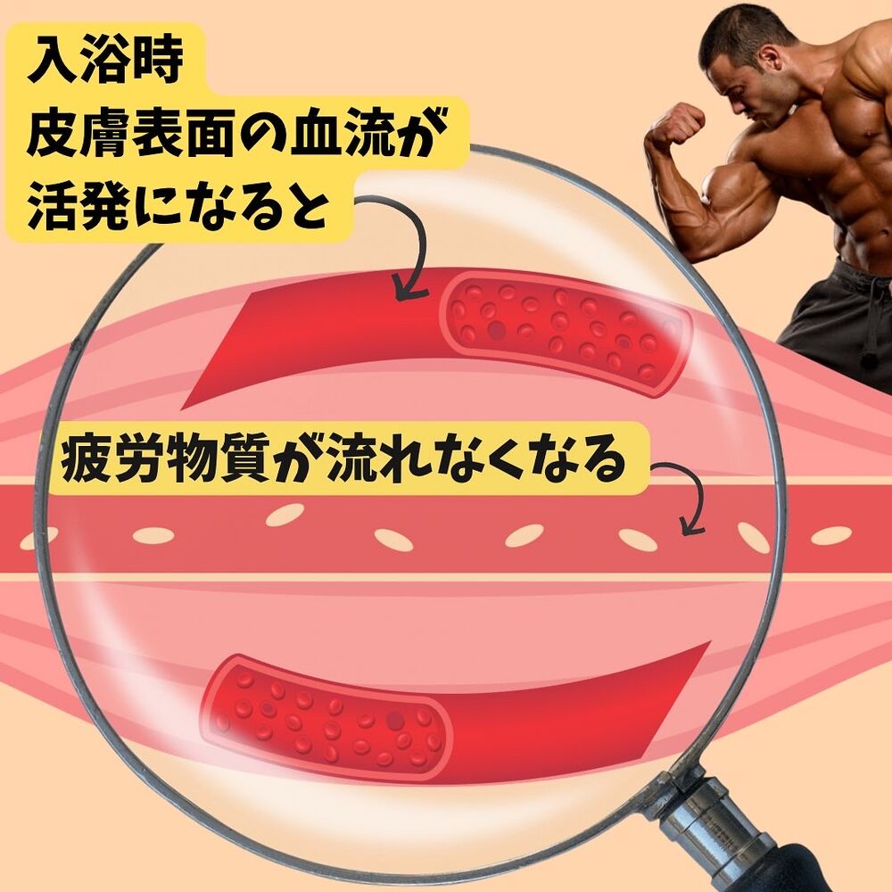 画像1433