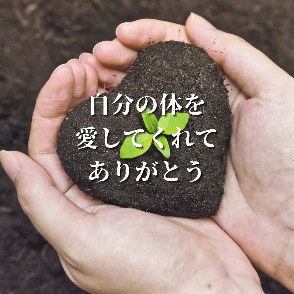 画像1444