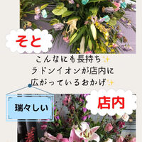 画像1461