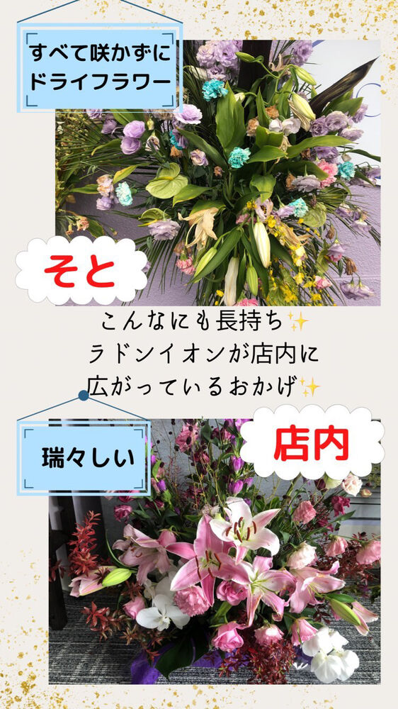 画像1461