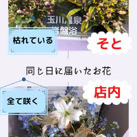 画像1462
