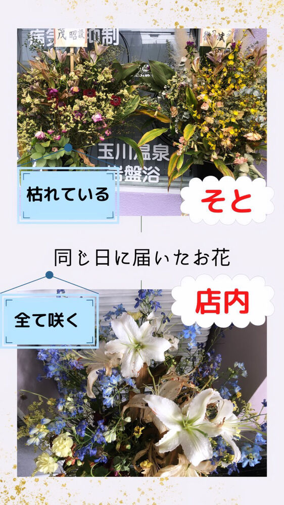 画像1462
