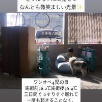 画像1500