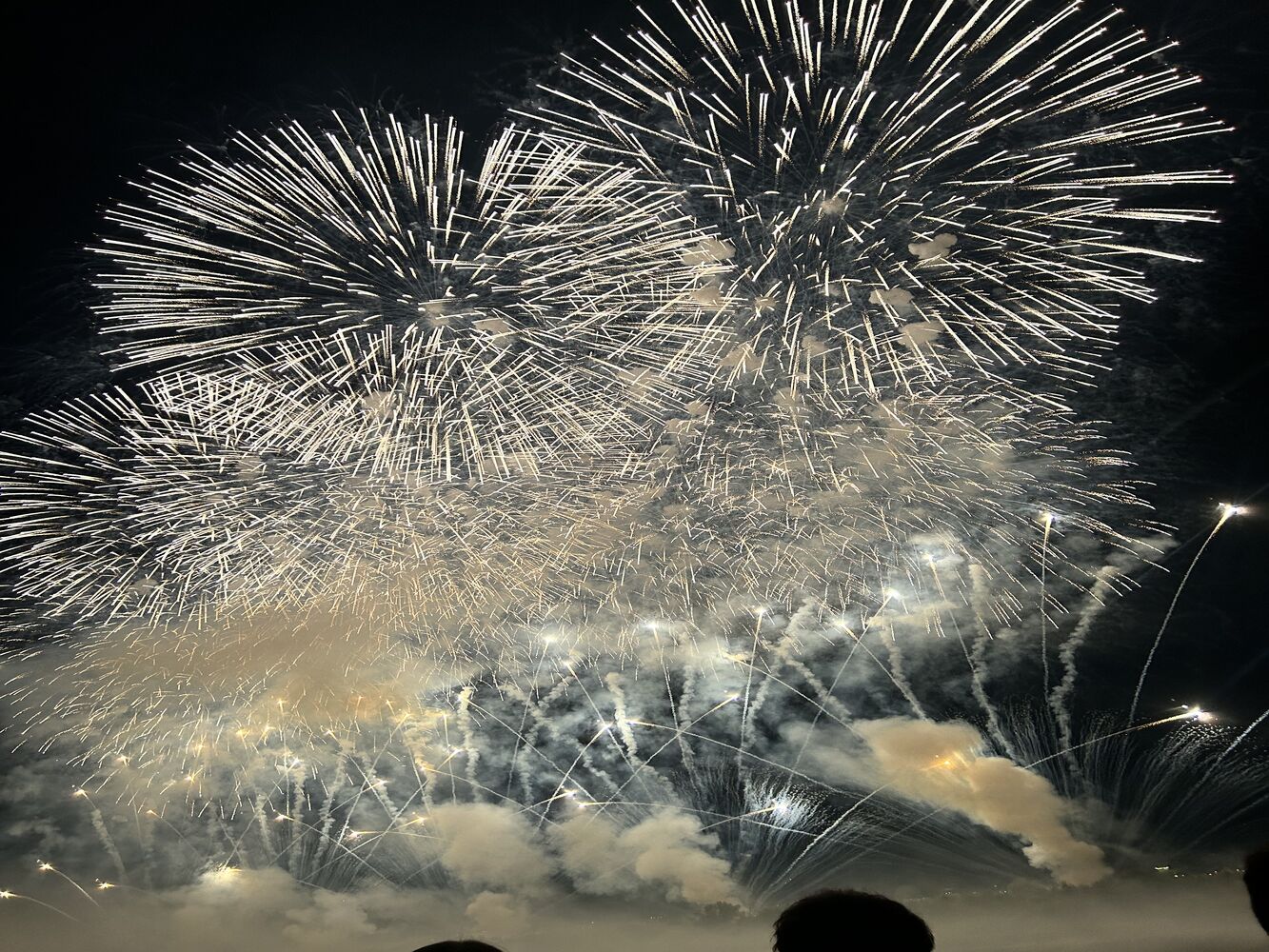 画像1587